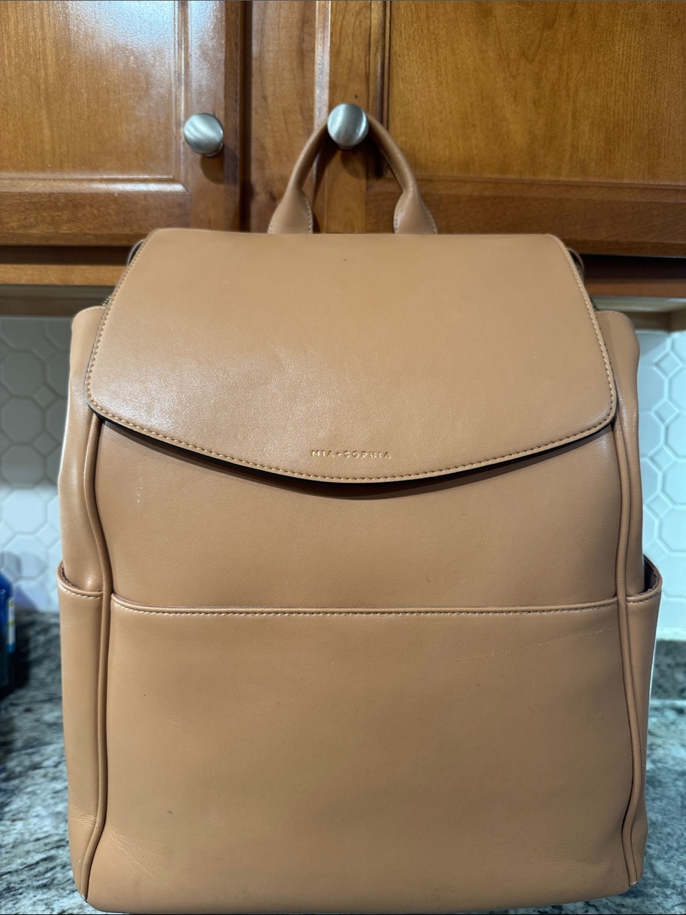 Minimal Tan Leather Backpack With Flap